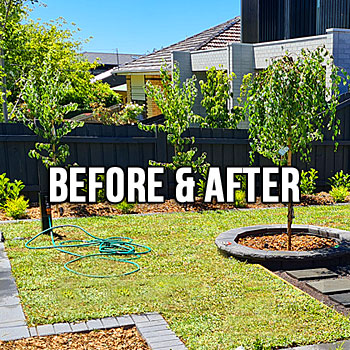 Before & After Garden Photos