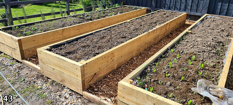 Raised Garden Beds for Vegetables Melbourne