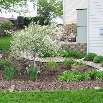 Rain Garden Melbourne